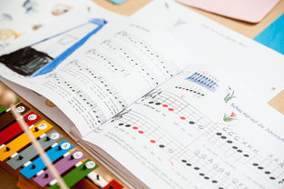 JiuyouAPP下载-中小学体育教师继续教育体系建设与实施研究，小学体育继续教育考试试题及答案