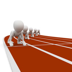 九游网页版官网入口-中小学体育教师职业成长路径研究，中小学体育教师现状