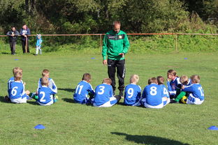 JIUYOU.COM-五大联赛外援数量变化影响战术布置，五大联赛外援数量变化影响战术布置吗